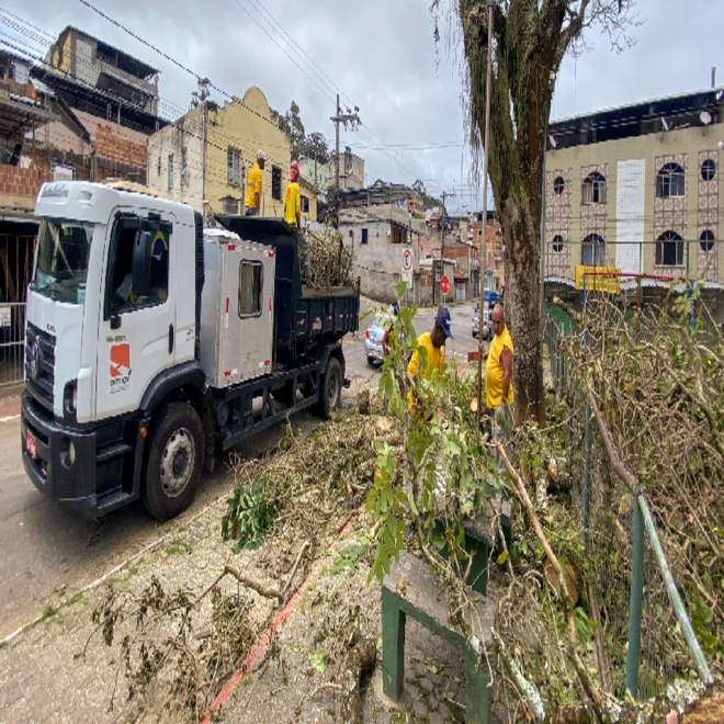 PJF realiza substituição de espécies de árvores na praça do bairro São Benedito