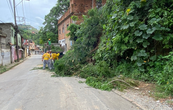 Equipes da Empav atuam na desobstrução de vias afetadas pelas chuvas em JF