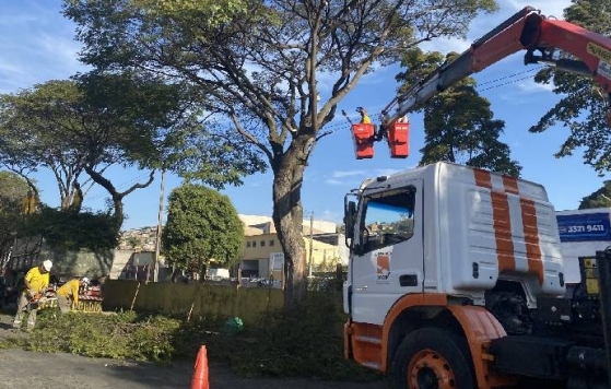 PJF dá início à operação de podas de árvores na Avenida Brasil