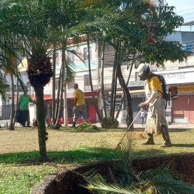 Em cinco dias, PJF atende 40 locais com limpeza e poda de grama