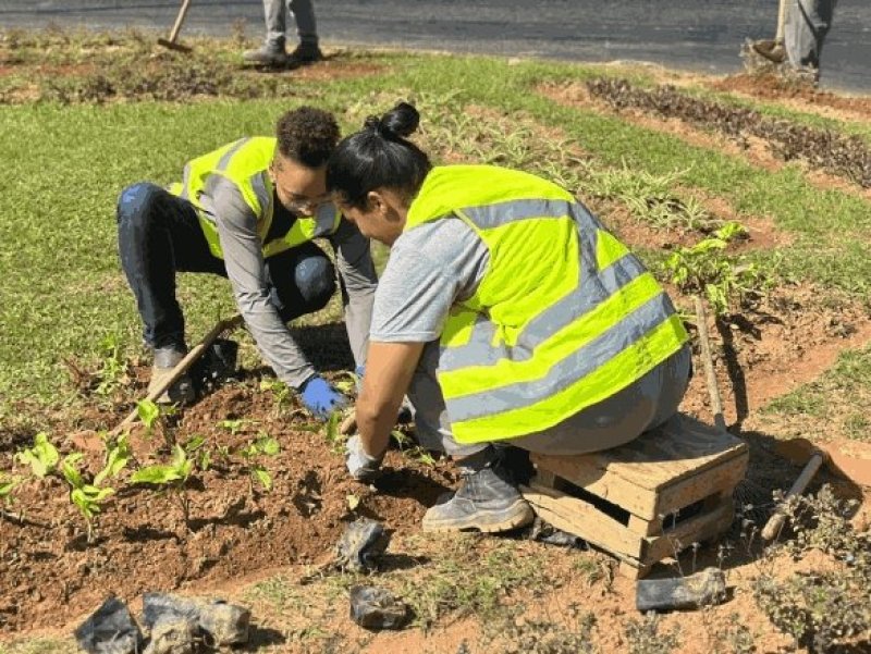 Empav realiza o plantio de mais de cinco mil mudas de plantas e flores em novembro