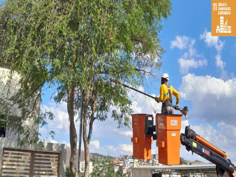 PJF realiza mais de 600 podas de árvores no mês de agosto