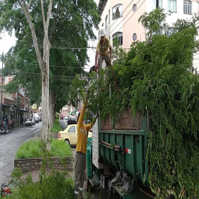 Prefeitura intensifica ações de poda preventiva de árvores na cidade