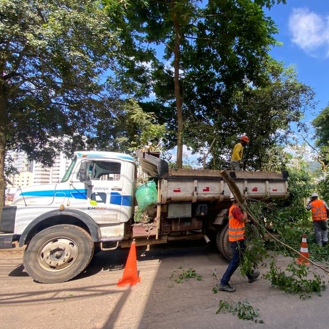 EMPAV realiza quase 100 podas preventivas de árvores nos últimos cinco dias 