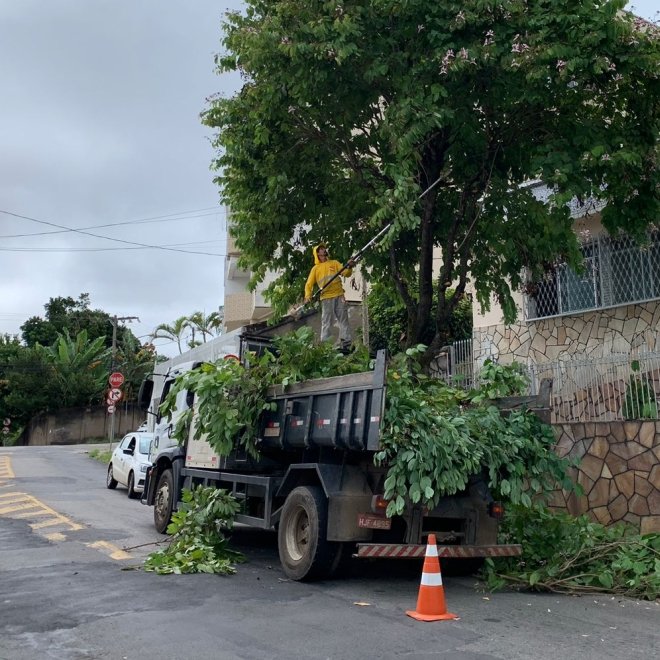 Santa Catarina e outros três bairros recebem ações de poda de árvores nesta segunda-feira, 17