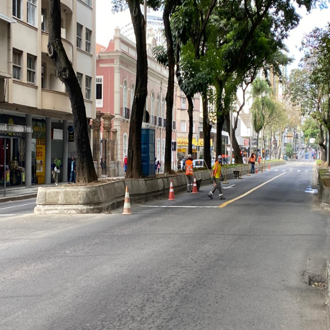 PJF avança na revitalização dos canteiros da Avenida Rio Branco