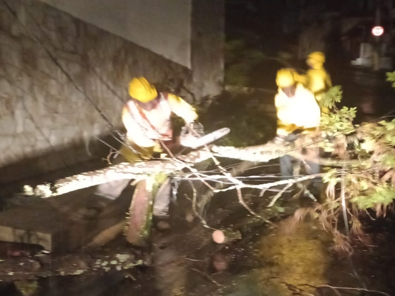 Equipes da PJF trabalham durante a madrugada após tempestade com ventos de 93km/h