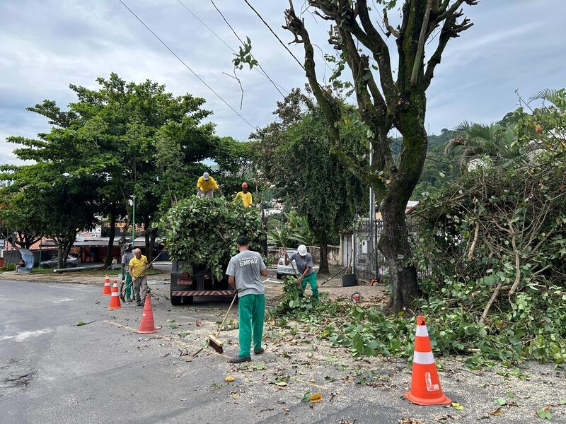 PJF segue com serviços de poda preventiva de árvores por toda a cidade