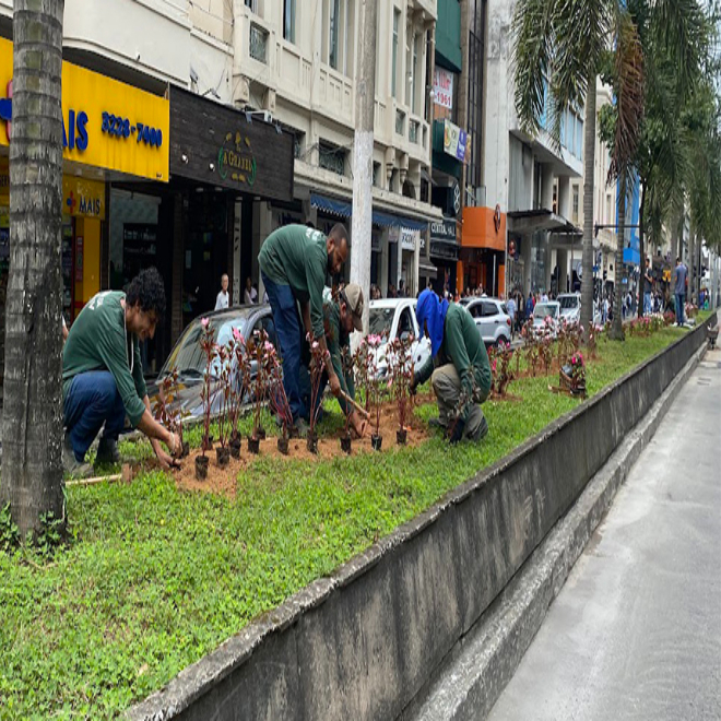 Prefeitura segue com revitalizações nos canteiros centrais da Avenida Rio Branco e em outros pontos da cidade