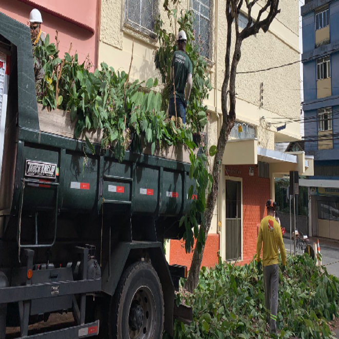 PJF realiza mais de 30 podas de árvores em diversos pontos da cidade em dois dias