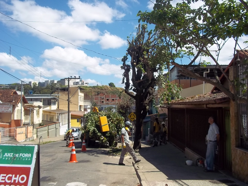 Empav realiza poda e corte de árvores no bairro Nossa Senhora de Lourdes