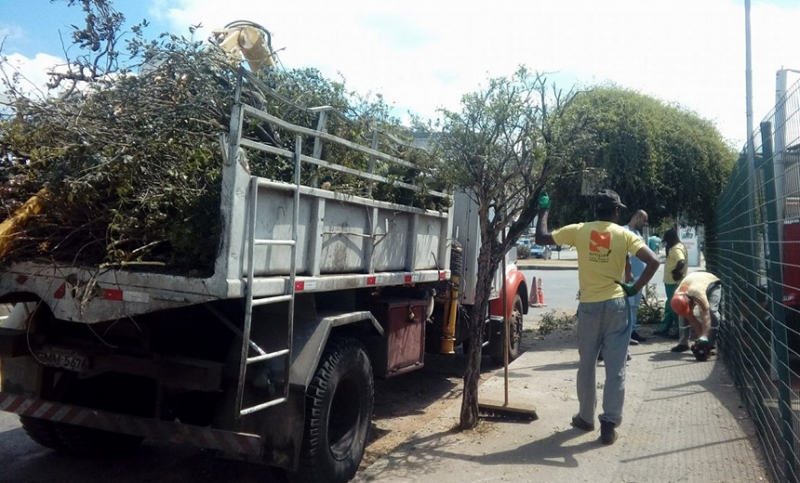 Empav realiza poda de árvores e retirada de ervas-de-passarinho no Santa Terezinha