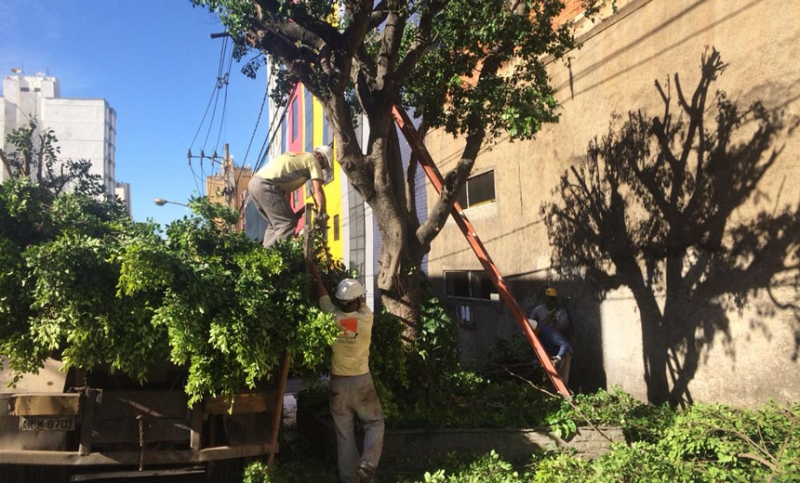 Empav realiza poda de árvores no Centro