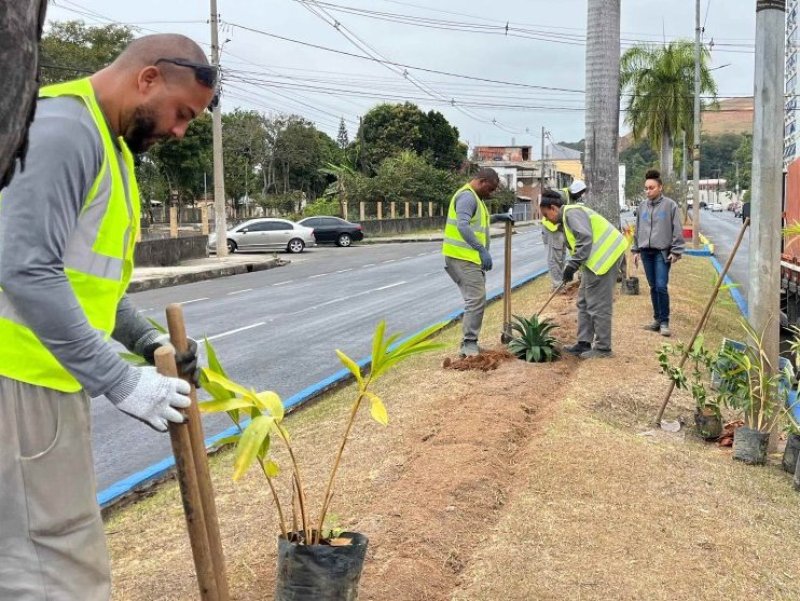 Empav realiza o plantio de mais de 2.500 mudas de flores na avenida JK