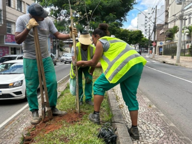 Empav realiza replantio de árvores na avenida Itamar Franco e no São Pedro Empav realiza replantio de árvores na avenida Itamar Franco e no São Pedro