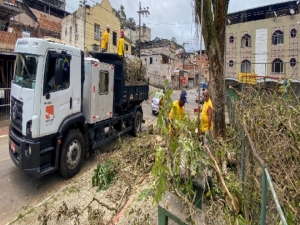 PJF realiza substituição de espécies de árvores na praça do bairro São Benedito