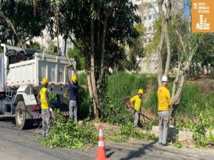 Prefeitura atende quase dez bairros com podas de árvores em dois dias