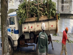 PJF atua no recolhimento de árvores após vendaval na tarde desta quinta-feira, 13