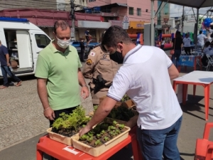 Empav realiza distribuição de mudas na Praça de Benfica