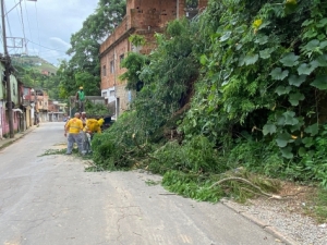 Equipes da Empav atuam na desobstrução de vias afetadas pelas chuvas em JF