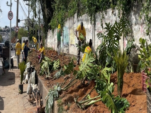 Prefeitura realiza mais uma ação de plantio de mudas na avenida Brasil
