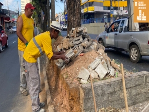 PJF trabalha na revitalização dos canteiros da avenida Doutor Paulo Japiassú Coelho