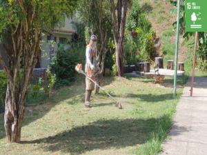 PJF atende a 18 bairros com serviços de limpeza e poda de grama em três dias