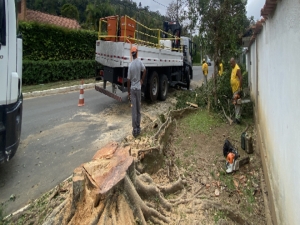 Prefeitura realiza o recolhimento de árvores e galhos caídos após chuvas de sábado, 22