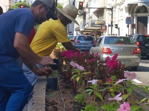 Empav realiza plantio de flores nos canteiros centrais da avenida Rio Branco 