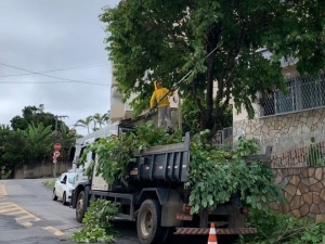 Santa Catarina e outros três bairros recebem ações de poda de árvores nesta segunda-feira, 17