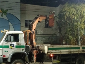 PJF dá início aos trabalhos de podas de árvores noturnas na cidade