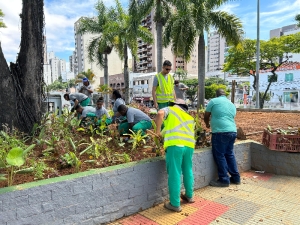 Cidade segue florida com plantios realizados pela Prefeitura