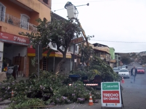 Empav realiza poda de árvores em Benfica