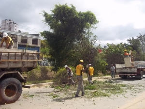 Equipe da Empav realiza poda de árvores no bairro Santa Luzia