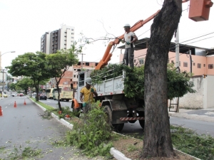 Empav realiza poda de árvores na Avenida Presidente Itamar Franco e em outros três locais