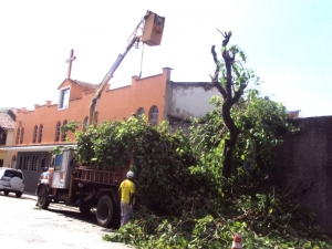 Empav realiza poda de árvores no Poço Rico