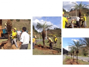 Empav realiza plantio de árvores na Avenida Deusdedit Salgado