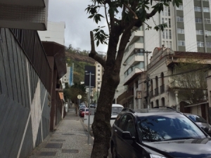 Empav realiza poda de árvore na Floriano Peixoto