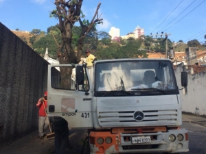 Empav realiza poda de árvores em dezoito bairros