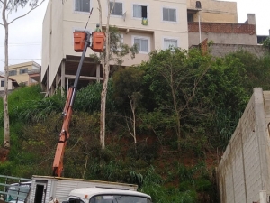 Empav realiza corte de eucalipto com risco de queda no Bairro Santos Dumont