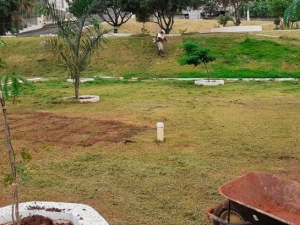 Prefeitura finaliza colocação de gramado na Praça Graciliano Ramos